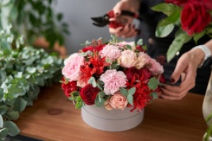 Сад и благоустройство